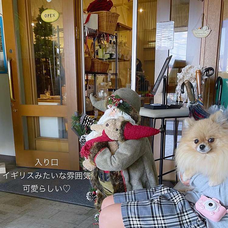 Dog Cafe プティシアン ドック カフェ プティシアン 本町田 玉川学園前駅 カフェ By Line Place