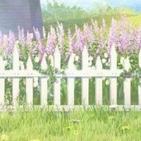 🌸 𓊪͙ เล่นเกมโรบุ้ดด ╸ᱸ 𓈒