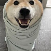 長庚科大公職討論群組