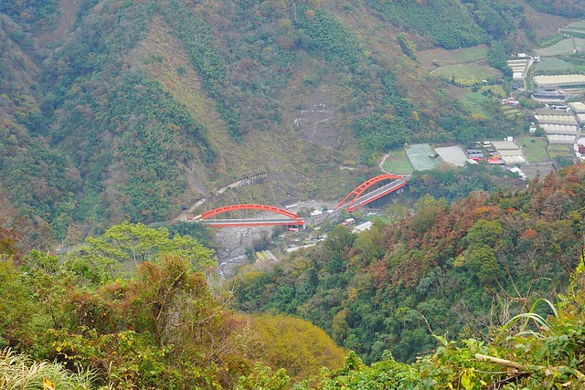 望高茶園景觀餐廳