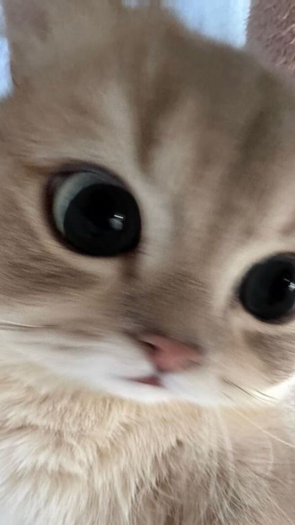 น่ารักเกินไปปปปปปป💞💞💞💞💞💞💞💞💞💞