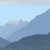 113年-第13屆學校護理人員協進會-花蓮分會