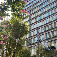 Pacific Consultants 25年入社