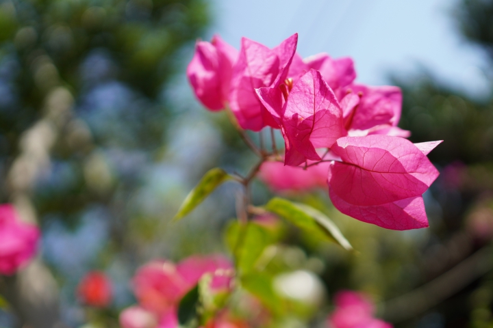 攝錄輕旗艦 Sony A6400 隨身相機動手玩