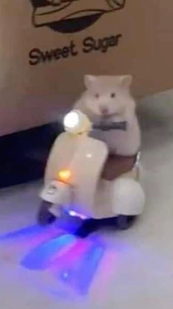 โปรดเรียกฉันว่าวิน🛵🚨