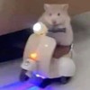 โปรดเรียกฉันว่าวิน🛵🚨