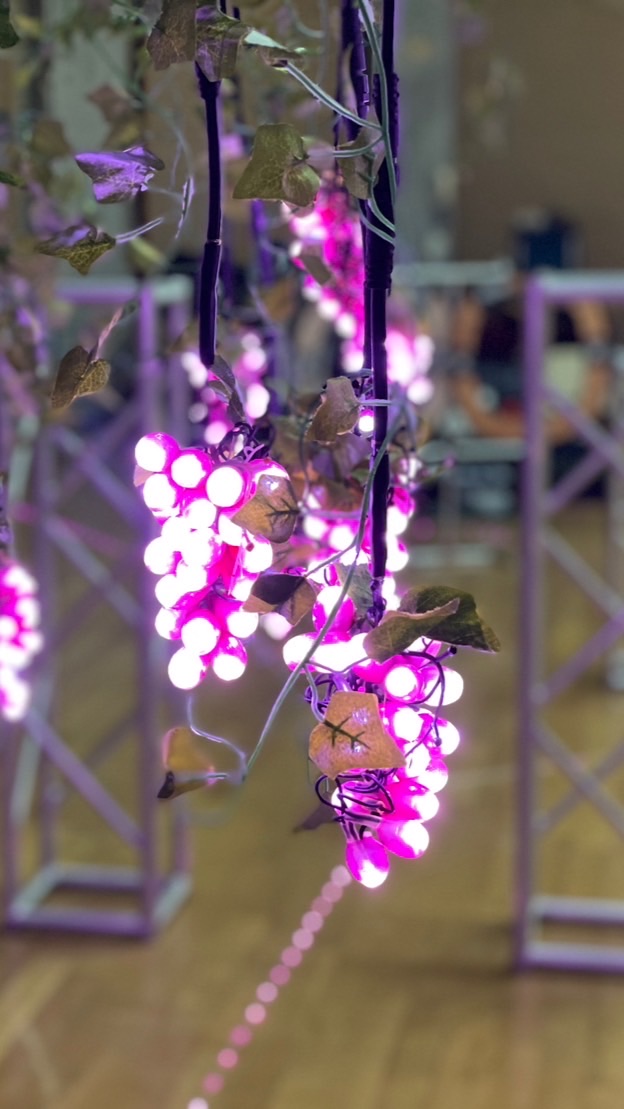 DRONE RACING YAMANASHI