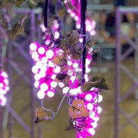 DRONE RACING YAMANASHI