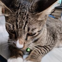 น้องใหม่