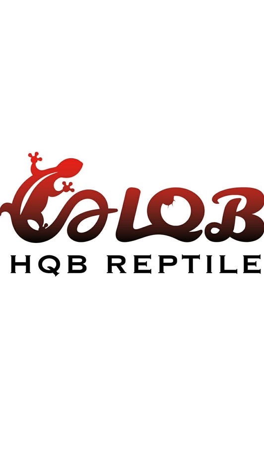 HQB REPTILE