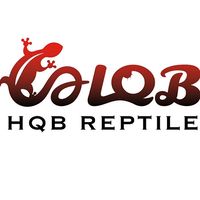 HQB REPTILE