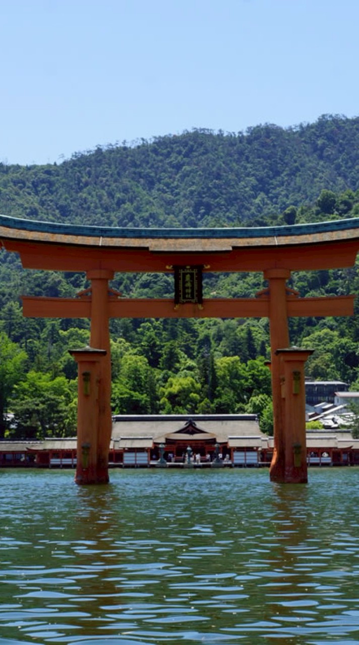 広島聖杯大乱(広島の亜種二連聖杯大戦)