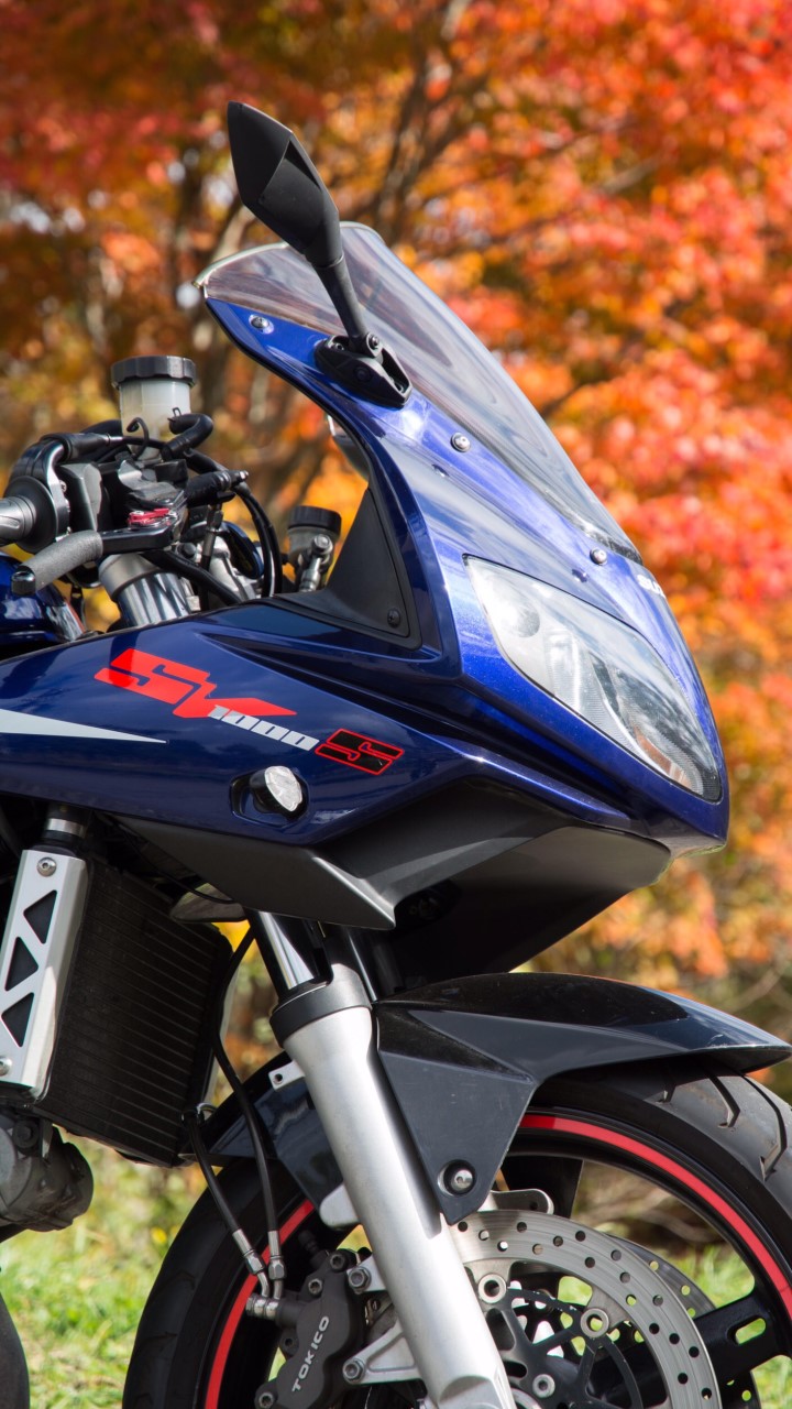 SUZUKI SV1000S