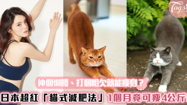 伸個懶腰、打個哈欠就能瘦身？日本超紅「貓式減肥法」1個月竟可瘦4公斤!