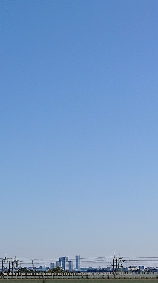 OpenChat 墓地