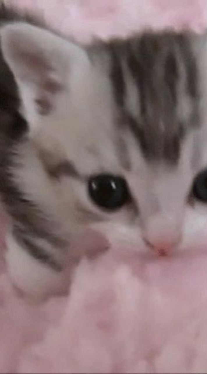 フォトナしよ!