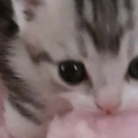 フォトナしよ!