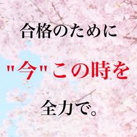 10期生日報提出グループ