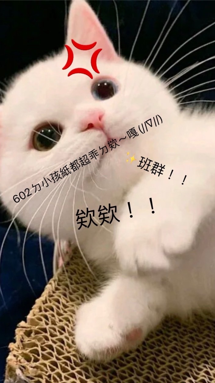 602乖孩紙(´･ω･`)