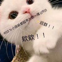 602乖孩紙(´･ω･`)