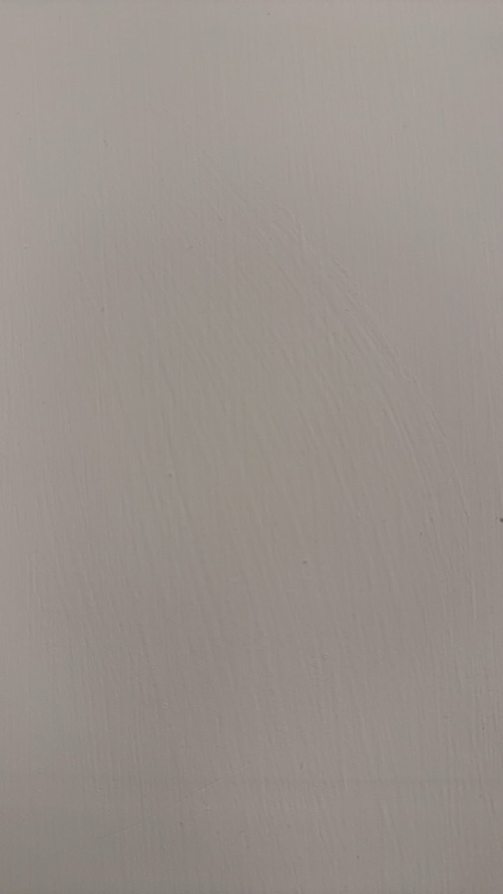 文大進階單人拉丁舞