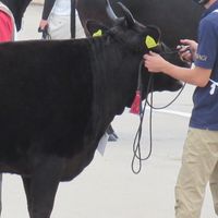 仙台ECO動物海洋専門学校特別講座