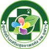 แกนนำสุขภาพ