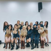 CLC Cheshire X Dreamcatcher In Somnia 台灣捕貓網家族🕸🐈