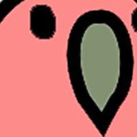 カカポの森