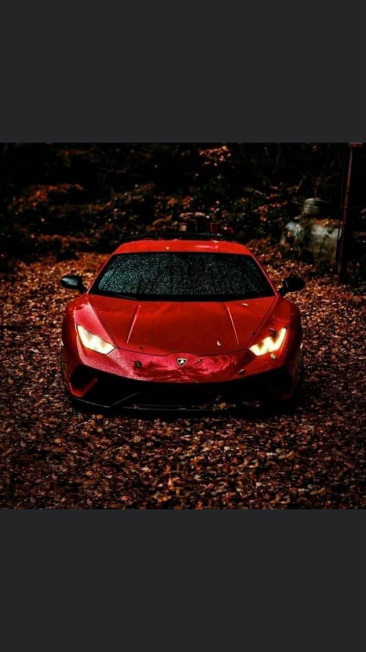 Car Digital Showroom
