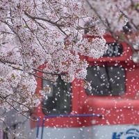 好想去韓國