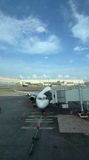 地瓜葉の不藏私機票廣播群📣