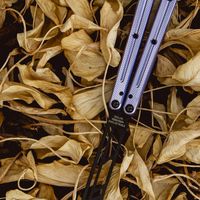 balisong tricks 蝴蝶刀多練練團
