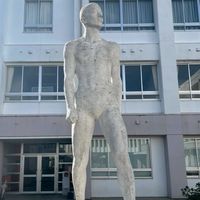 白石小中同窓会