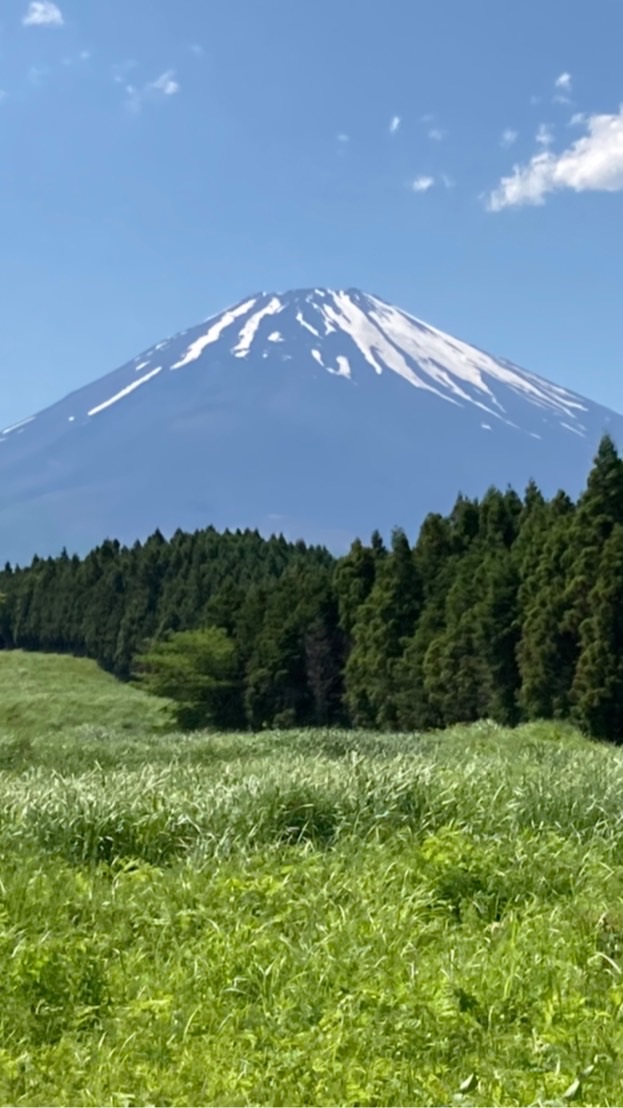 【日本】愛国議員応援団【護国】