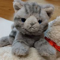 ひざねこ･ひざわんこ同好会