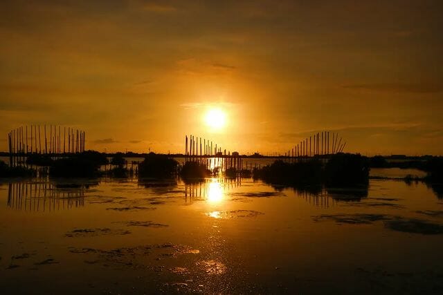 2022最新雲林一日遊推薦｜成龍濕地