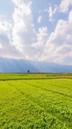 資材人豆奶｜田間私聊