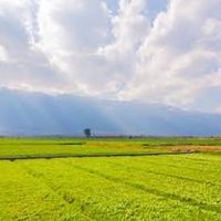 資材人豆奶｜田間私聊
