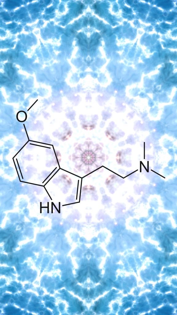 DMT部🧠