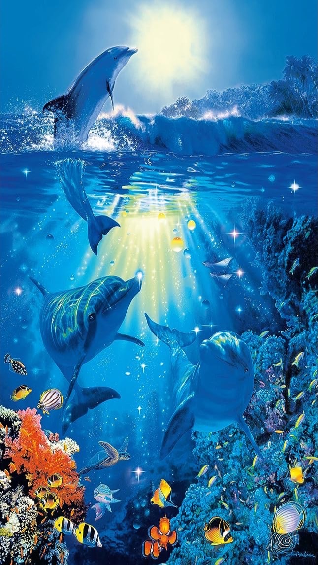 112學年海豚班🐬