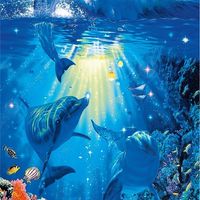 112學年海豚班🐬