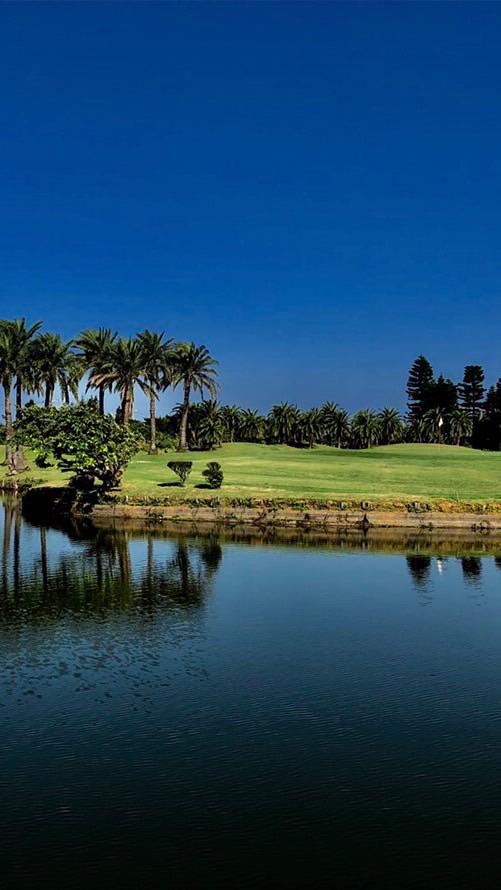 ⛳️濱海高爾夫約球群組⛳️