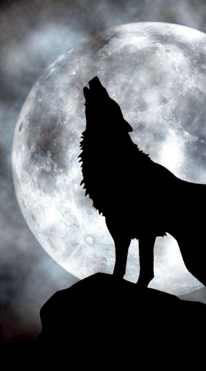 人狼🐺🖤やりたい子おいで〜！！
