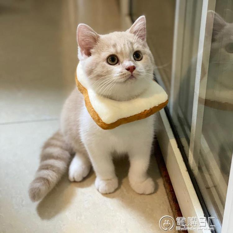狗狗吐司頭套貓咪伊麗莎白圈可伸縮網紅恥辱圈面包防舔脖項圈圍脖