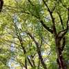 小中学生限定！恋人ごっこや恋愛相談