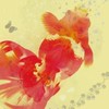 樂天水族設計