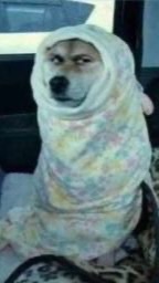 วาดรูปกันค่า🤩🔥✍︎