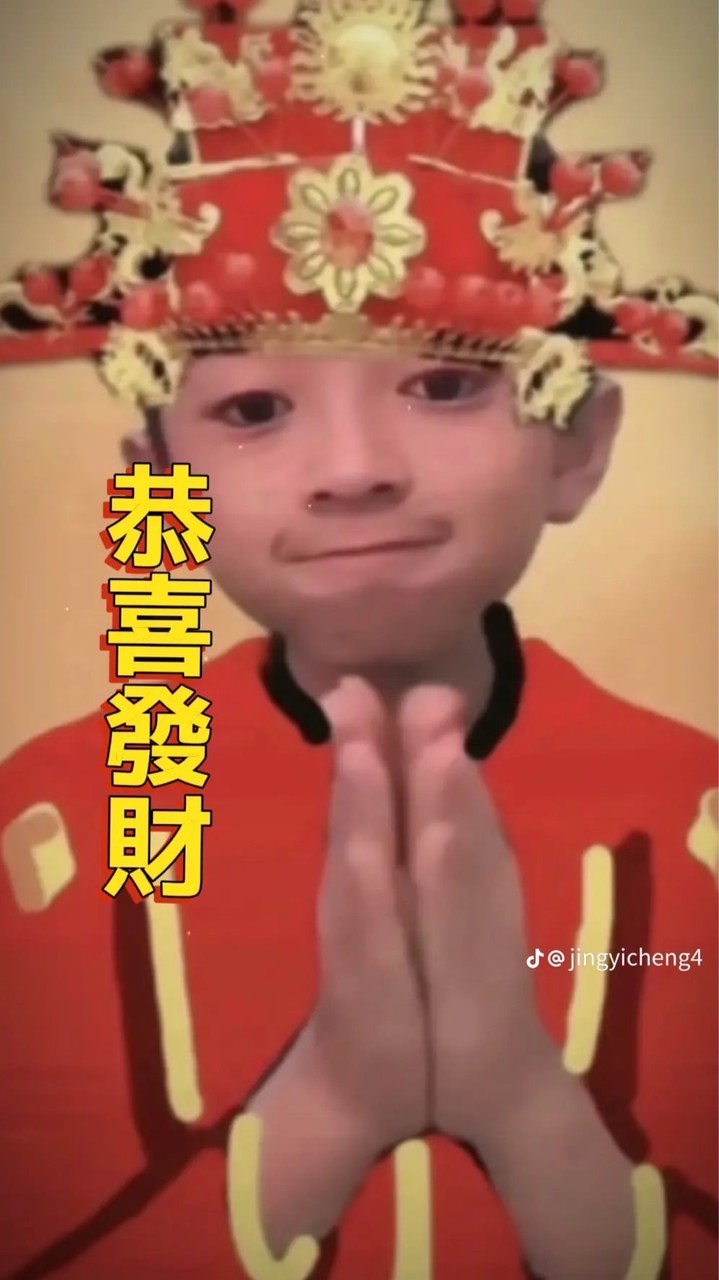 鯊皇死木