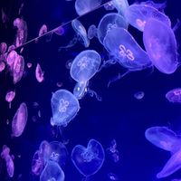 なんなんやろね